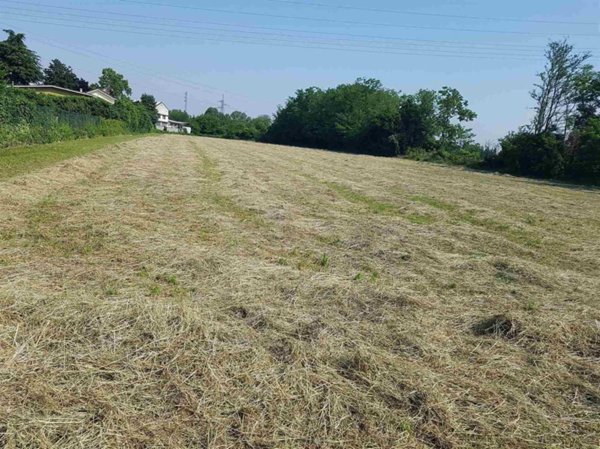 negozio in affitto a Cologno Monzese