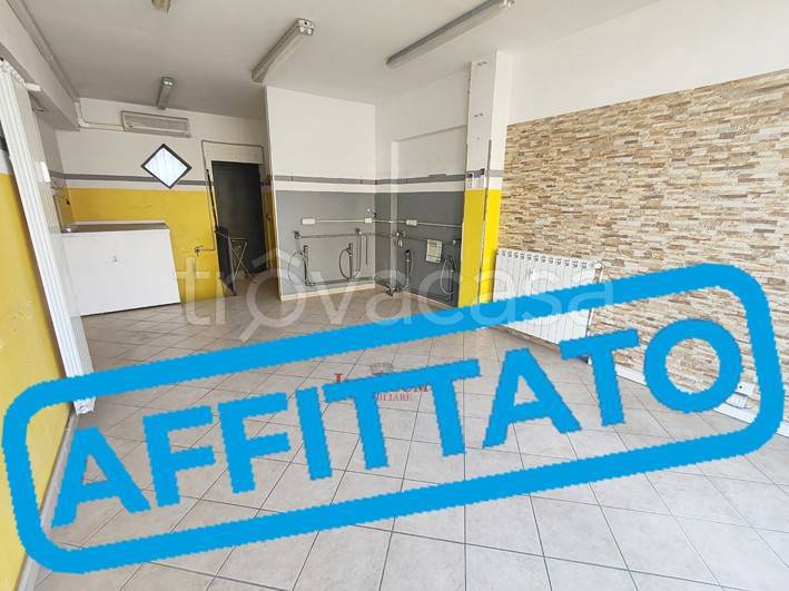 appartamento in affitto a Cologno Monzese