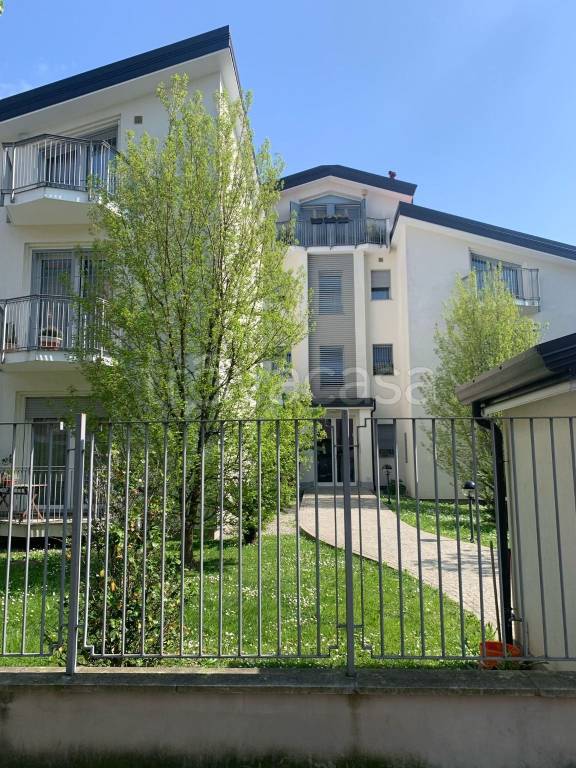 appartamento in affitto a Cologno Monzese
