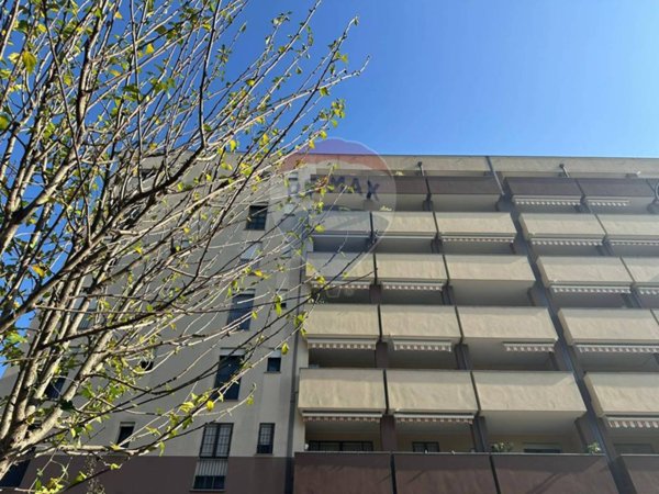 appartamento in affitto a Cologno Monzese in zona San Maurizio al Lambro