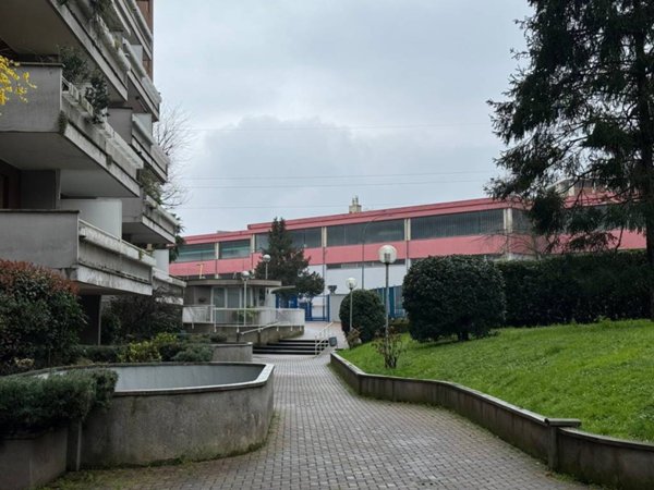 appartamento in affitto a Cologno Monzese