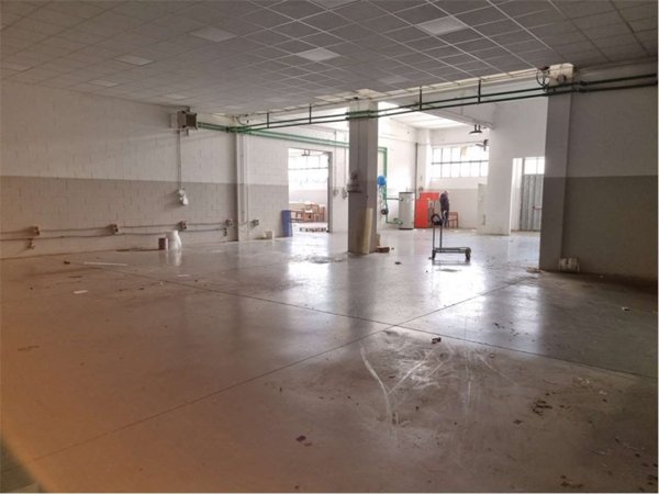 appartamento in affitto a Cologno Monzese