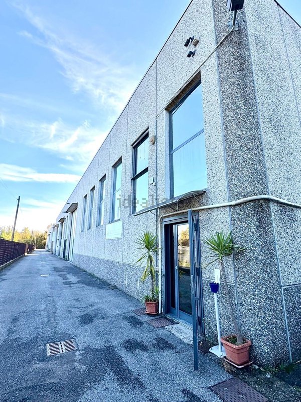 capannone in affitto a Cologno Monzese