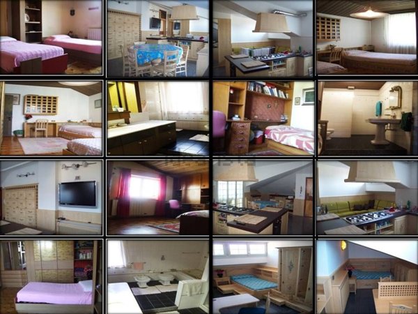 appartamento in affitto a Cologno Monzese