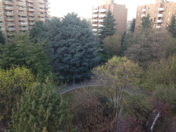 appartamento in affitto a Cologno Monzese