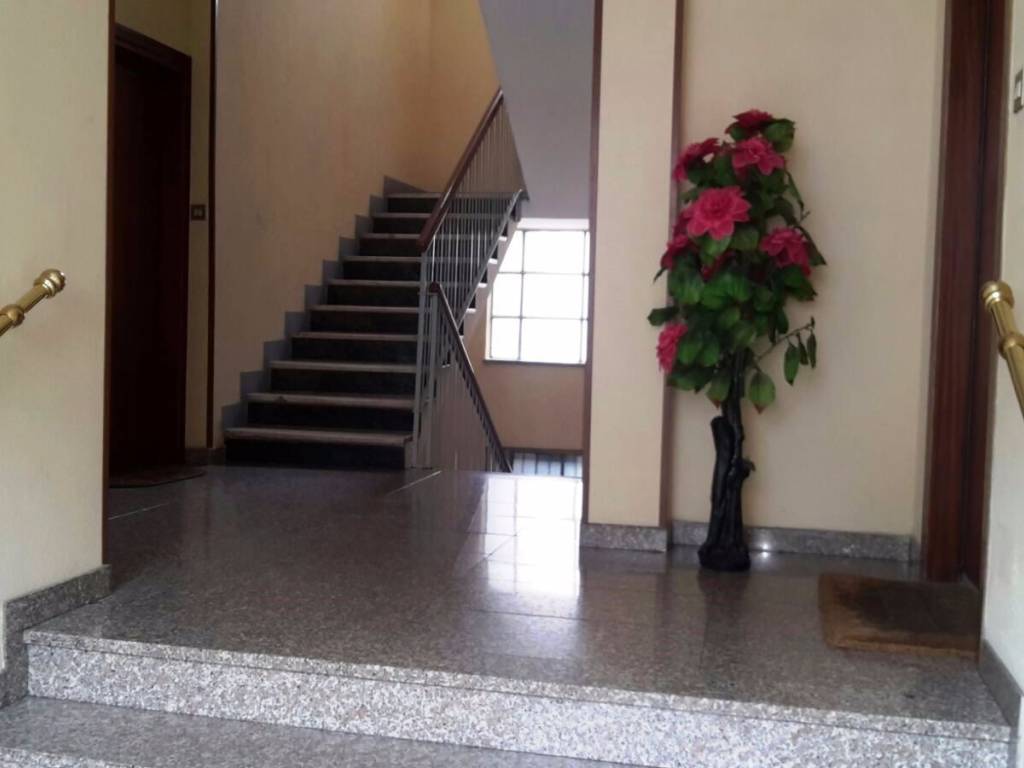 appartamento in affitto a Cologno Monzese