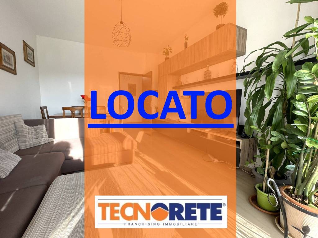 appartamento in affitto a Cologno Monzese