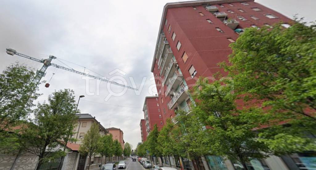 appartamento in affitto a Cologno Monzese