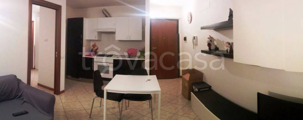 appartamento in affitto a Cologno Monzese