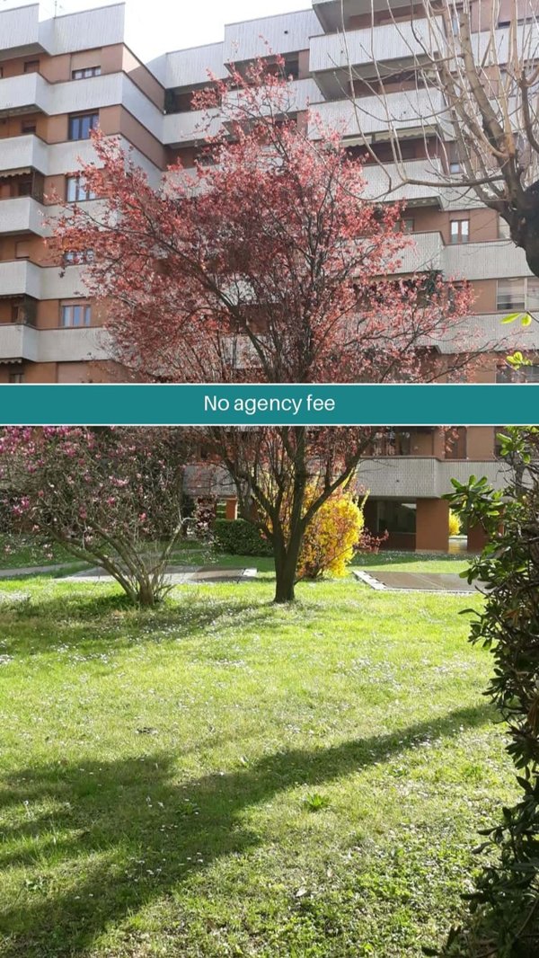 appartamento in affitto a Cologno Monzese