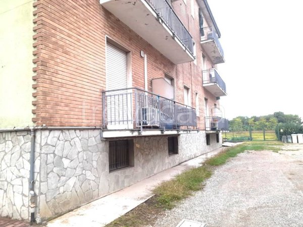 appartamento in affitto a Cologno Monzese