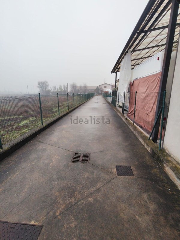 appartamento in affitto a Colturano