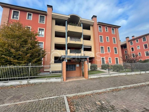 appartamento in affitto a Corbetta