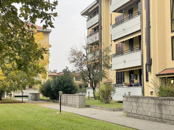 immagine annuncio 0 di 15