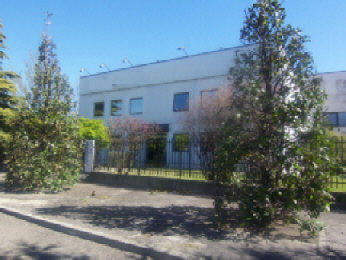 loft in affitto a Corsico