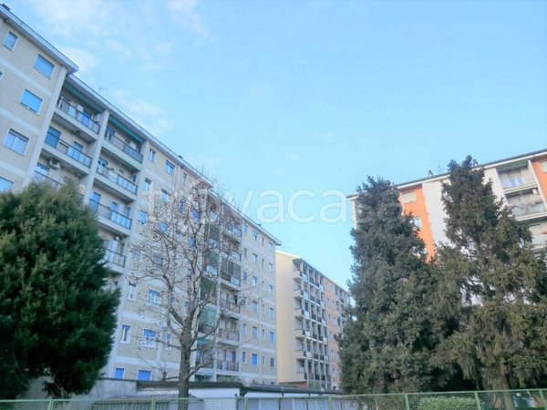 appartamento in affitto a Corsico