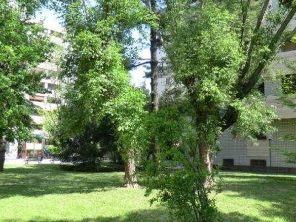 appartamento in affitto a Corsico