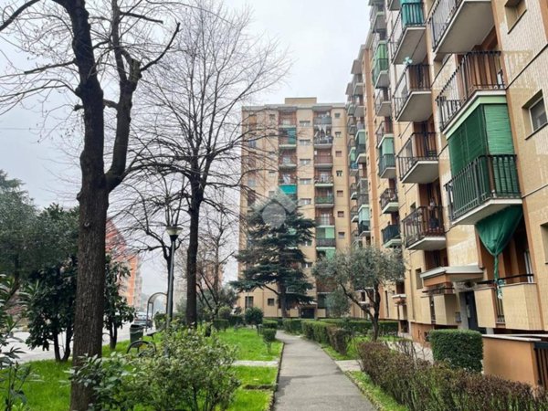 appartamento in affitto a Corsico