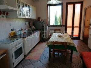 immagine annuncio 0 di 12