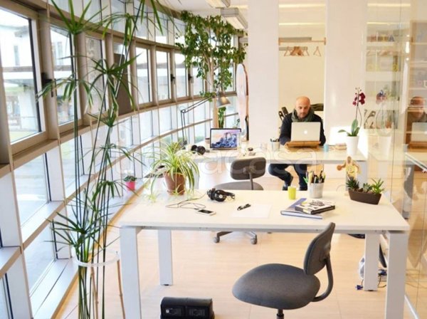 appartamento in affitto a Legnano