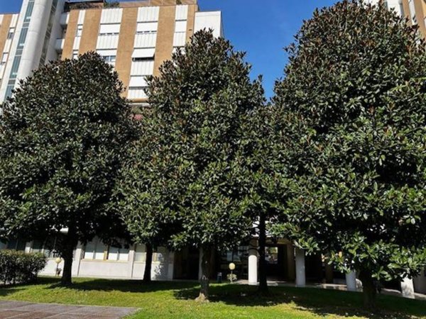 appartamento in affitto a Legnano