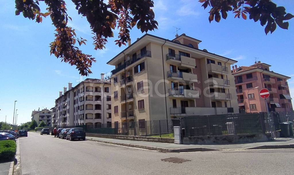 appartamento in affitto a Legnano