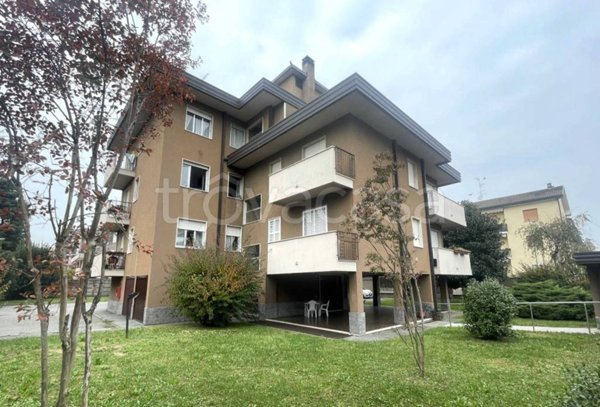 immagine annuncio 0 di 15