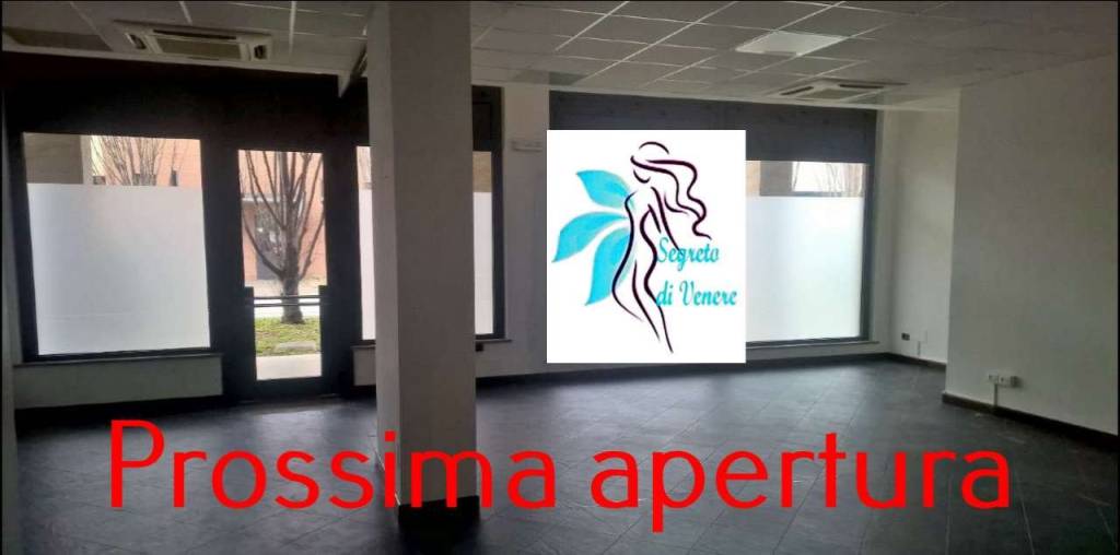 negozio in affitto a Magenta