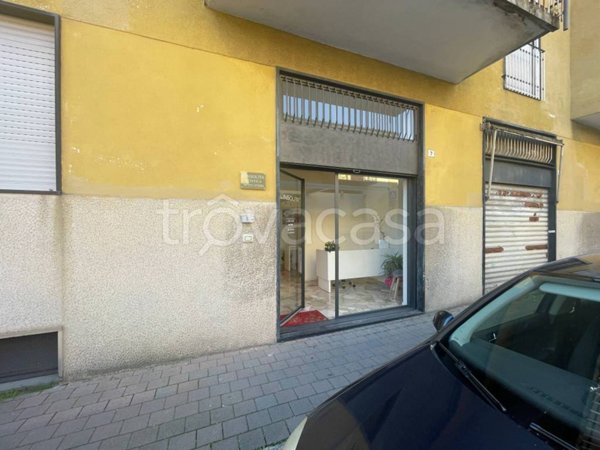 trivano in affitto a Magenta