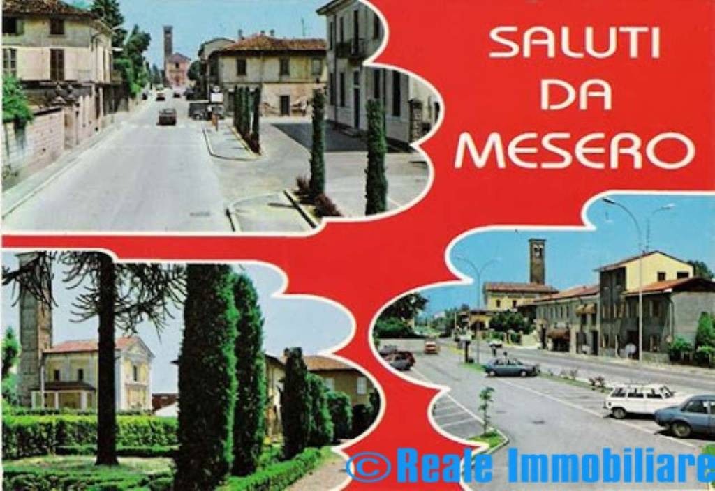 quadrivano in affitto a Mesero