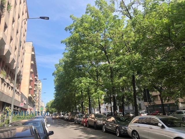 appartamento in affitto a Milano in zona Porta Venezia