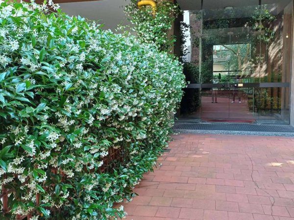 appartamento in affitto a Milano in zona Sant'Ambrogio