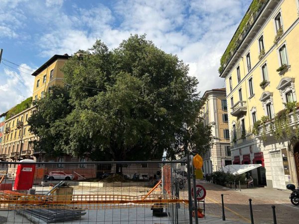 negozio in affitto a Milano in zona Porta Garibaldi