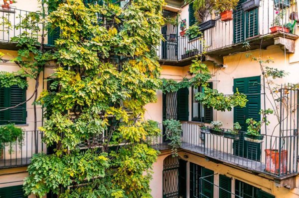 appartamento in affitto a Milano in zona Brera