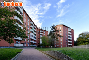appartamento in affitto a Milano in zona Forlanini