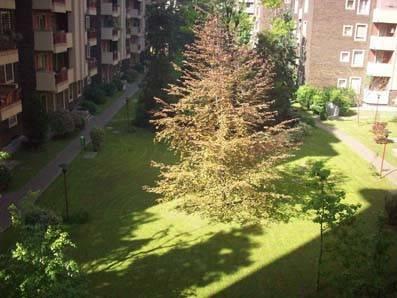 appartamento in affitto a Milano in zona Solari