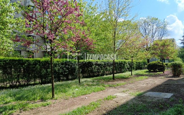 appartamento in affitto a Milano in zona Forlanini