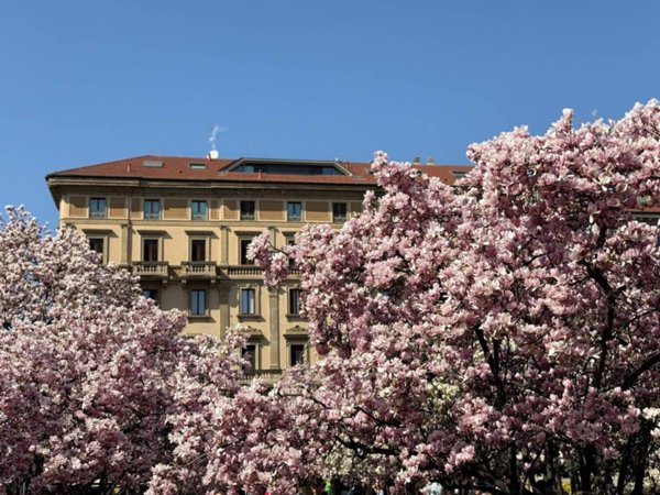 appartamento in affitto a Milano in zona San Vittore