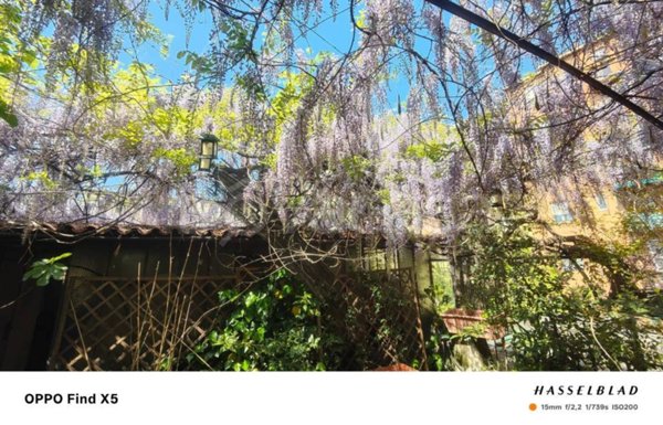 appartamento in affitto a Milano in zona Porta Romana