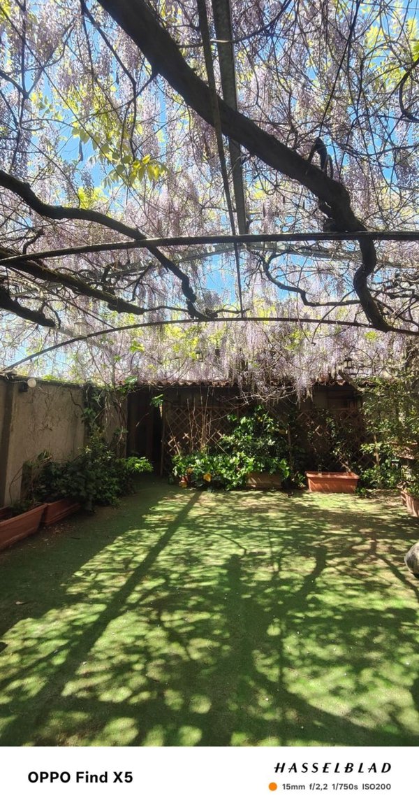 appartamento in affitto a Milano in zona Porta Romana