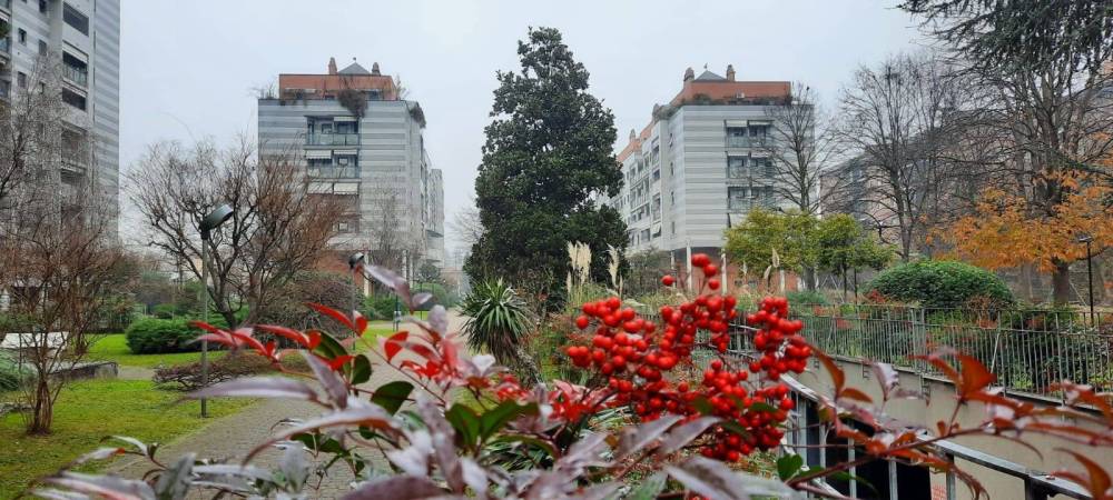 appartamento in affitto a Milano in zona Baggio