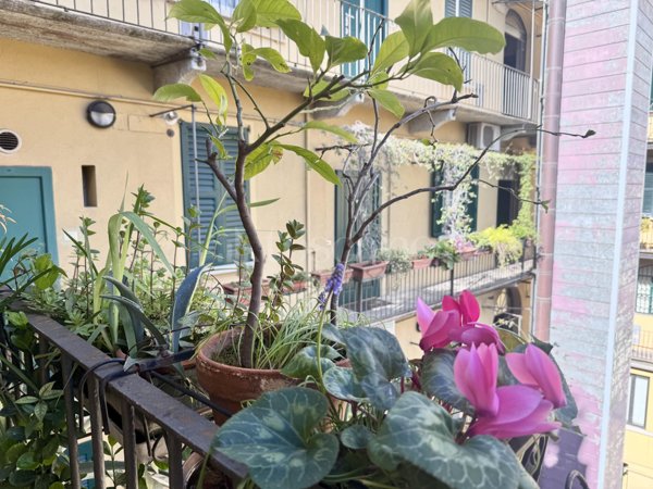 appartamento in affitto a Milano in zona Porta Venezia