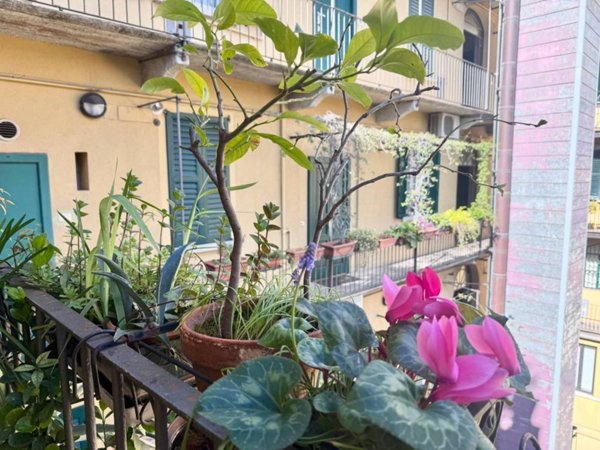 appartamento in affitto a Milano in zona Porta Venezia