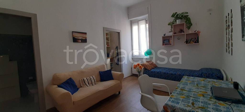 appartamento in affitto a Milano in zona Città Studi
