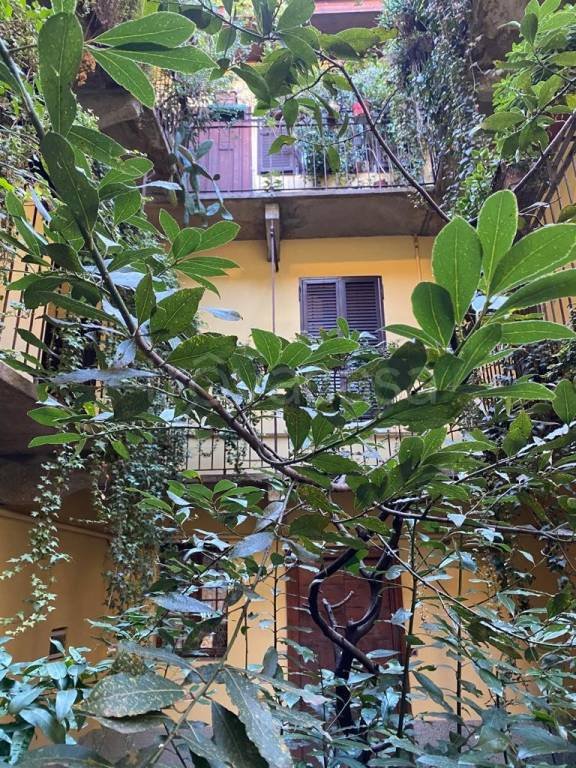 appartamento in affitto a Milano in zona Bocconi