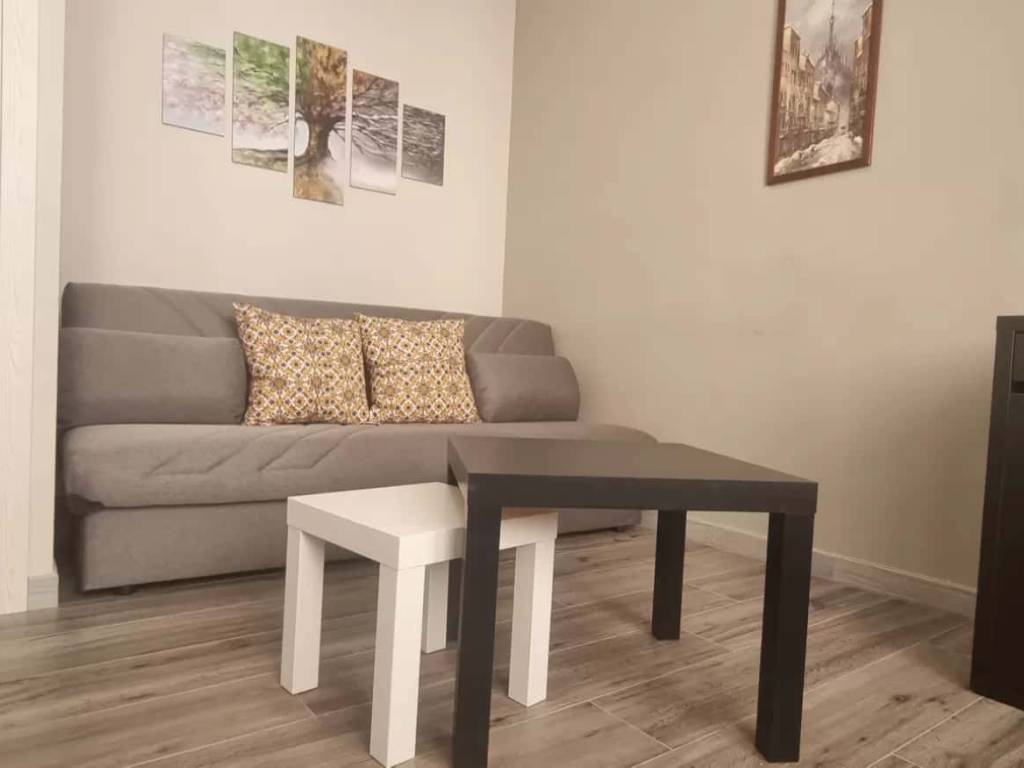 appartamento in affitto a Milano in zona Città Studi