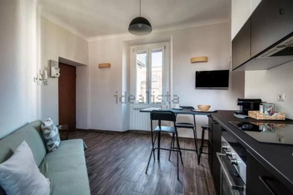 appartamento in affitto a Milano in zona Maggiolina