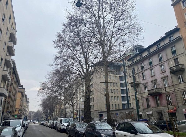 appartamento in affitto a Milano in zona Cinque Giornate