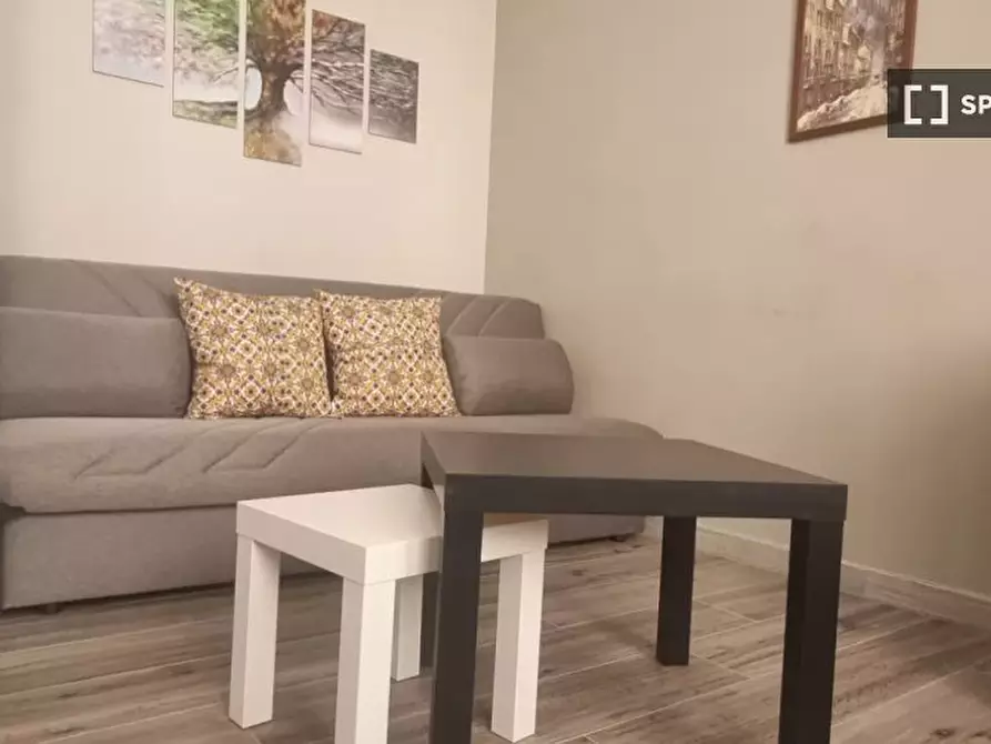 appartamento in affitto a Milano in zona Città Studi