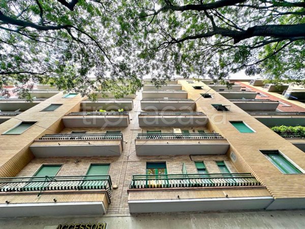 appartamento in affitto a Milano in zona Città Studi